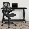 High Back Transparent Black Mesh Executive Ergonomic  Chair with Adjustable Lumbar, 2-Paddle Control & Flip-Up Arms