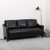 Asti Upholstered Sofa in Black LeatherSoft