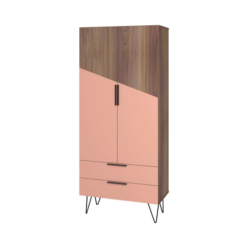 Beekman 67.32" Tall Cabinet in Brown and Pink