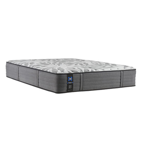 Bremerton Medium TT King Mattress - Angled silo