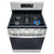 LG 5.8 cu. ft. Smart Wi-Fi Enabled Gas Range with EasyClean - Silo Top Front View Bottom Right Burner On