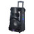 Edison Professional 2000W Bluetooth Party Speaker System - EP80