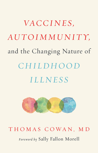 Front of Vaccines, Autoimmunity, and the Changing Nature of Childhood Illness book, cream background with red, blue, and black letters and four different colored circles on the front cover.