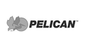 Pelican Products logo
