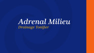 Adrenal Milieu Drainage Tonifier