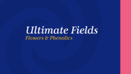 Ultimate Fields Flowers & Phenolics