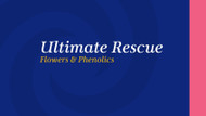 Ultimate Rescue Flowers & Phenolics
