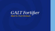 GALT Fortifier Matrix Nutritionals
