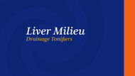 Liver Milieu Drainage Tonifiers