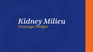 Kidney Milieu Drainage Tonifier