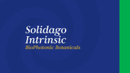 Solidago Intrinsic BioPhotonic Botanicals