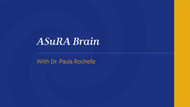 ASuRA Brain