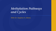 Methylation Pathways and Cycles
