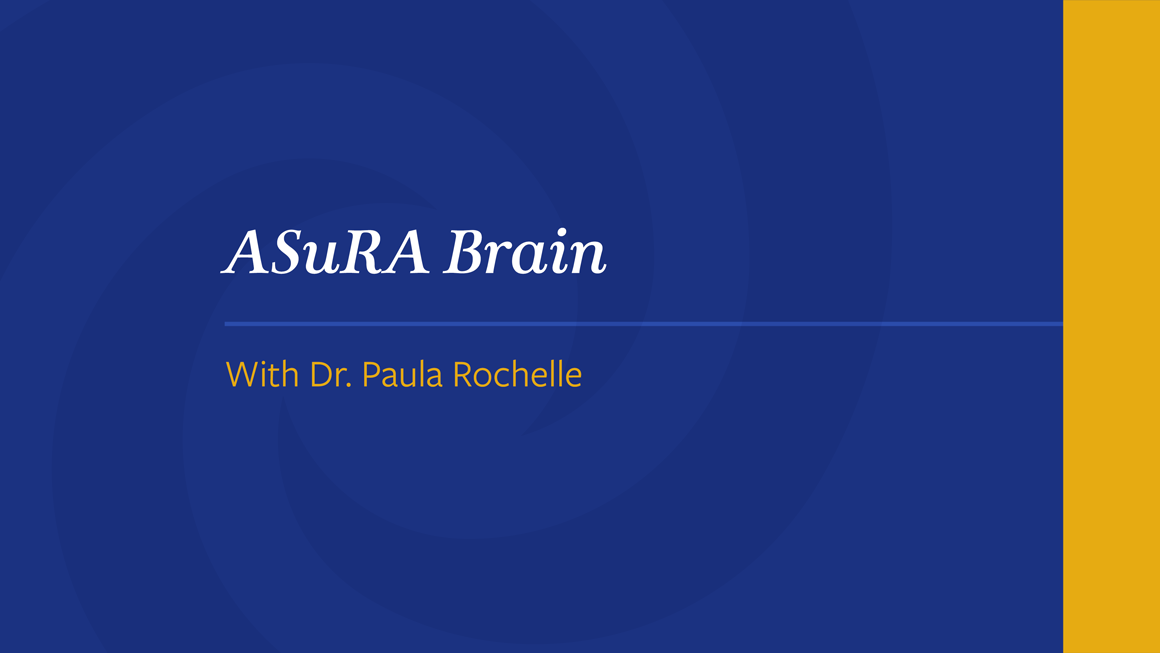 ASuRA Brain