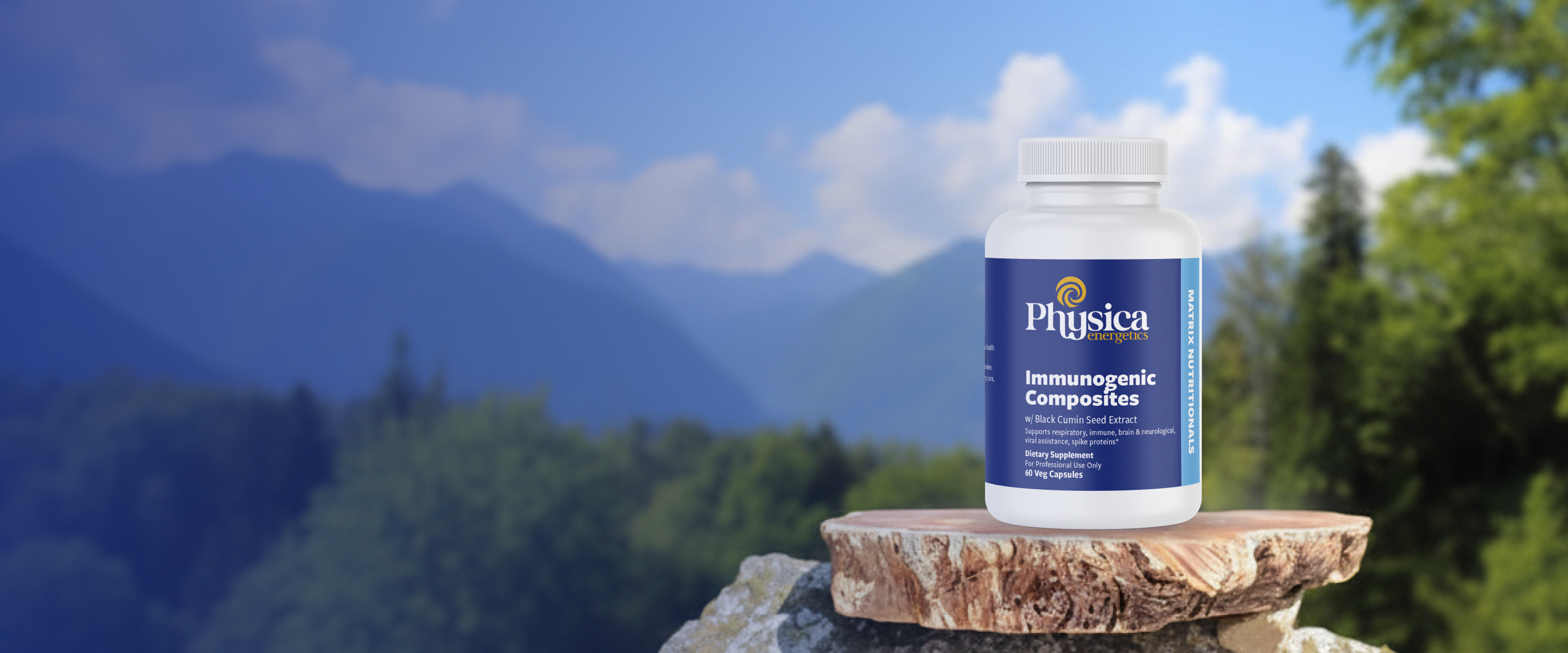 Immunogenic Composites