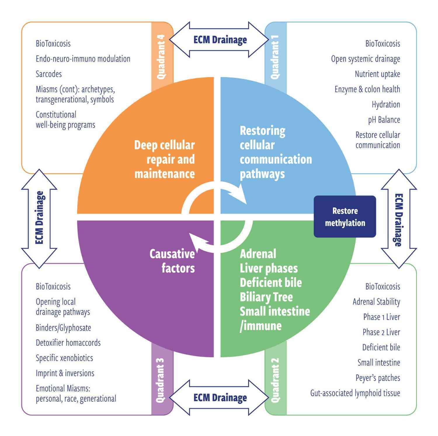 Healing_for_the_pattern_of_life