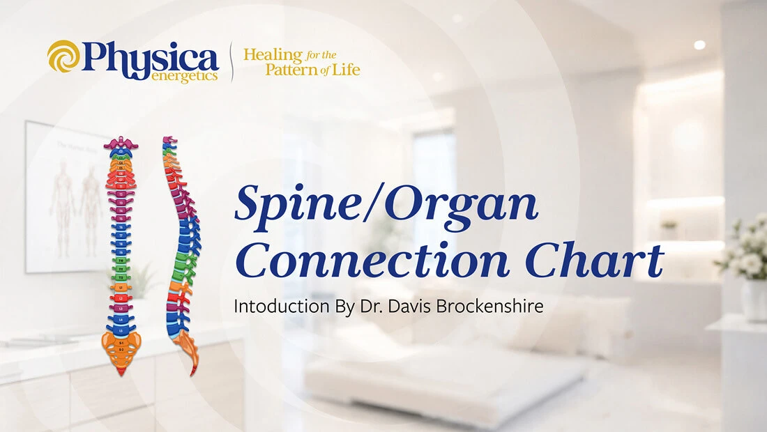 Spine/Organ Connection Chart