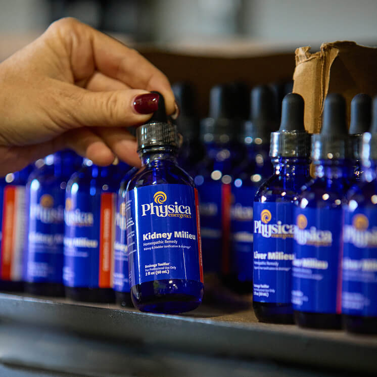 Professional Support