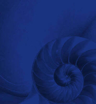 Clinical Applications & BioEnergetic Correlations with Physica Energetics Remedies