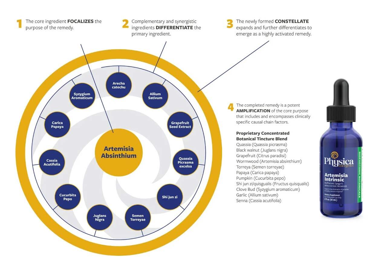 Physica Artemisia Intrinsic infographic
