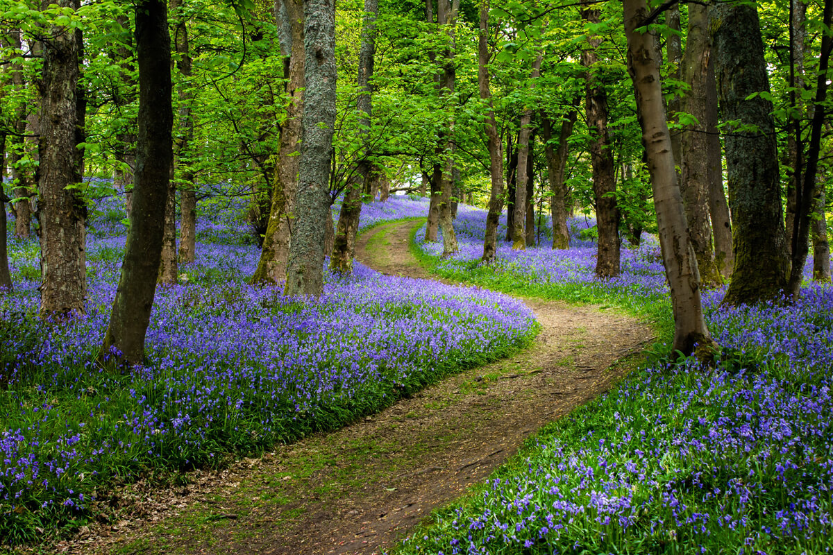 a-unique-choice-in-the-natural-remedy-field.jpg a-unique-choice-in-the-natural-remedy-field.jpg