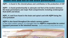 asura-brain.jpg