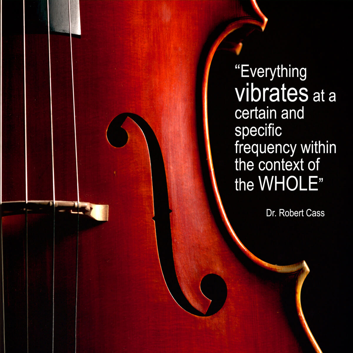 cello-wording-added-for-plaque.jpg cello-wording-added-for-plaque.jpg