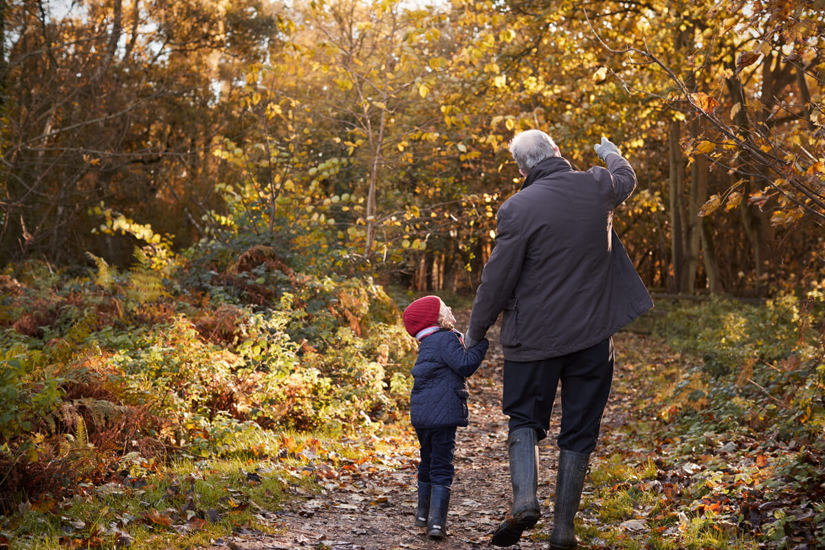 forest-stewardship-council-2.jpg forest-stewardship-council-2.jpg