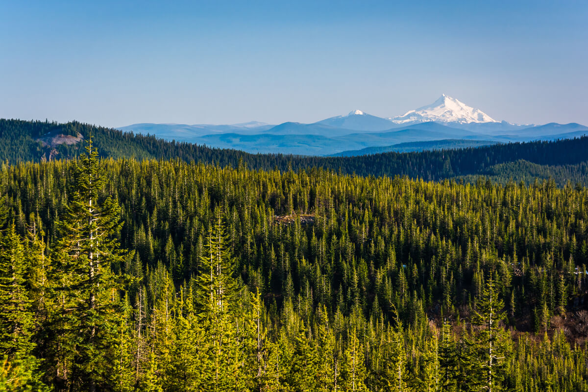 forest-stewardship-council.jpg forest-stewardship-council.jpg