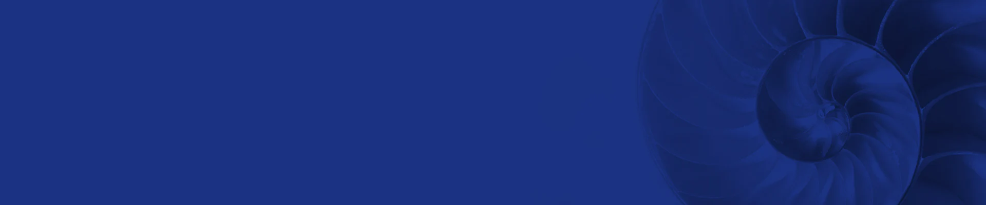 Physica Energetics blue banner