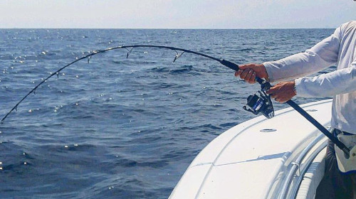 Jigging & Popping Rigging Tips - Part 2: Choosing a Reel