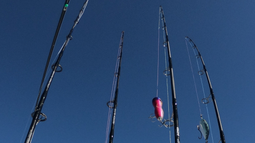 Jigging & Popping Rigging Tips - Part 1: Choosing a Rod - Ocean Tackle  International