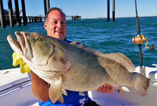 Thumper cod, 20lb Snapper & Hamachi's new XOS GT'n'Doggie jig rods Thumper cod, 20lb Snapper & Hamachi's new XOS GT'n'Doggie jig rods