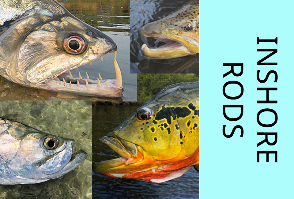Inshore Rods