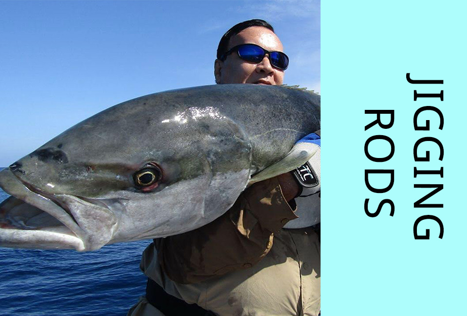 Jigging Rods 