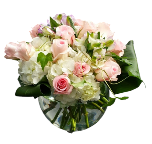 The Bloom Closet's Miss Jimmie 