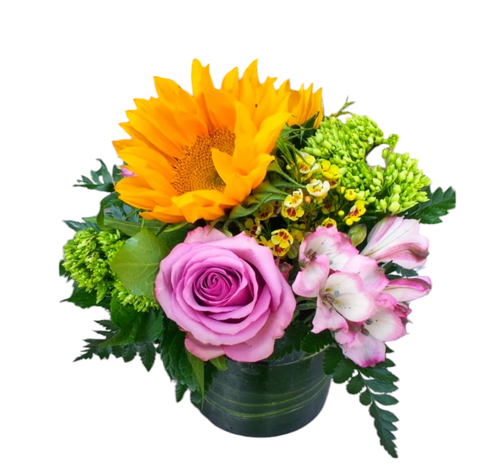 The Bloom Closet's Fun