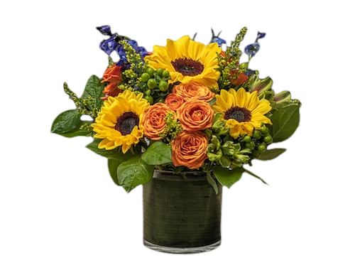 The Bloom Closet's Fall Wishes NEW DESIGN The Bloom Closet's Fall Wishes NEW DESIGN