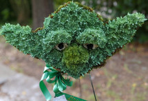 Star Wars Yoda out of flowers