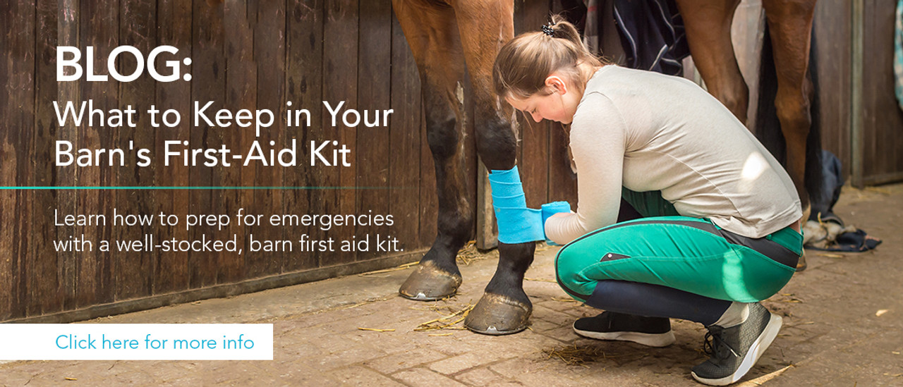 Blog: What to keep in your barn's first aid kit