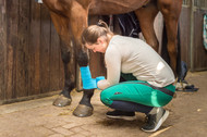 Why You Need an Equine First Aid Kit and How to Assemble One