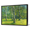 Matija Jama,Birches in Laxenburg,large wall art,framed wall art,canvas wall art,large canvas,M4607