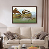 John James Audubon, Long tailed Duck,The Birds of America,canvas print,canvas art,canvas wall art,large wall art,framed wall art,p1888