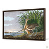 John James Audubon, Long billed Curlew,The Birds of America,canvas print,canvas art,canvas wall art,large wall art,framed wall art,p1885