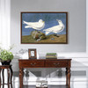 John James Audubon, Ivory Gull,The Birds of America,canvas print,canvas art,canvas wall art,large wall art,framed wall art,p1874