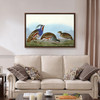 John James Audubon, I Plumed  Partridge,Thick legged Partridge,The Birds of America,canvas print,canvas art,canvas wall art,large art,p1871