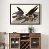 John James Audubon, Great footed Hawk,The Birds of America,canvas print,canvas art,canvas wall art,large wall art,framed wall art,p1856