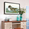 John James Audubon, Golden eye Duck,The Birds of America,canvas print,canvas art,canvas wall art,large wall art,framed wall art,p1851
