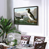 John James Audubon, Great Auk,The Birds of America,canvas print,canvas art,canvas wall art,large wall art,framed wall art,p1854