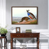 John James Audubon, California Partridge,The Birds of America,canvas print,canvas art,canvas wall art,large wall art,framed wall art,p1825